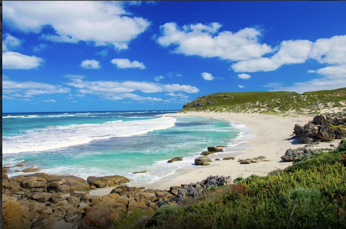 drtonybates's tweet image. For my personal history of Open and distance learning in Australia and New Zealand – and 9/11 see tonybates.ca/2024/07/30/a-p…