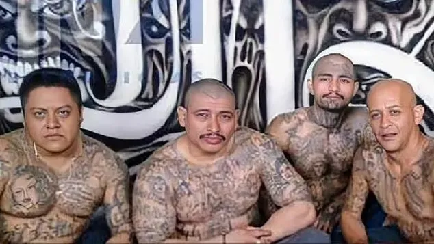 ChuckCallesto's tweet photo. BREAKING REPORT:  Venezuelan gang members who entered the US through OPEN BORDERS under the Biden-Harris administration have reportedly been authorized to engage in ARMED CONFRONTATIONS with American police officers.

DEVELOPING.. https://t.co/aDGJVAzanC