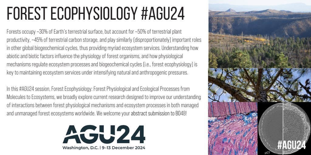 Dr. William Hammond (@wmhammond) on Twitter photo Still wondering where to submit that AGU abstract in the next 24 hours? Consider submitting to the session we've organized (<a href="/UGAForEcoPhys/">UGA Forest Ecophysiology Lab</a>, <a href="/DanPBeverly/">Daniel Beverly</a>, <a href="/TreePhysDJ/">Dan Johnson</a>, & me):
"B048 - Forest Ecophysiology: Forest Physiological and Ecological Processes from Molecules to Ecosystems" Still wondering where to submit that AGU abstract in the next 24 hours? Consider submitting to the session we've organized (<a href="/UGAForEcoPhys/">UGA Forest Ecophysiology Lab</a>, <a href="/DanPBeverly/">Daniel Beverly</a>, <a href="/TreePhysDJ/">Dan Johnson</a>, & me):
"B048 - Forest Ecophysiology: Forest Physiological and Ecological Processes from Molecules to Ecosystems"