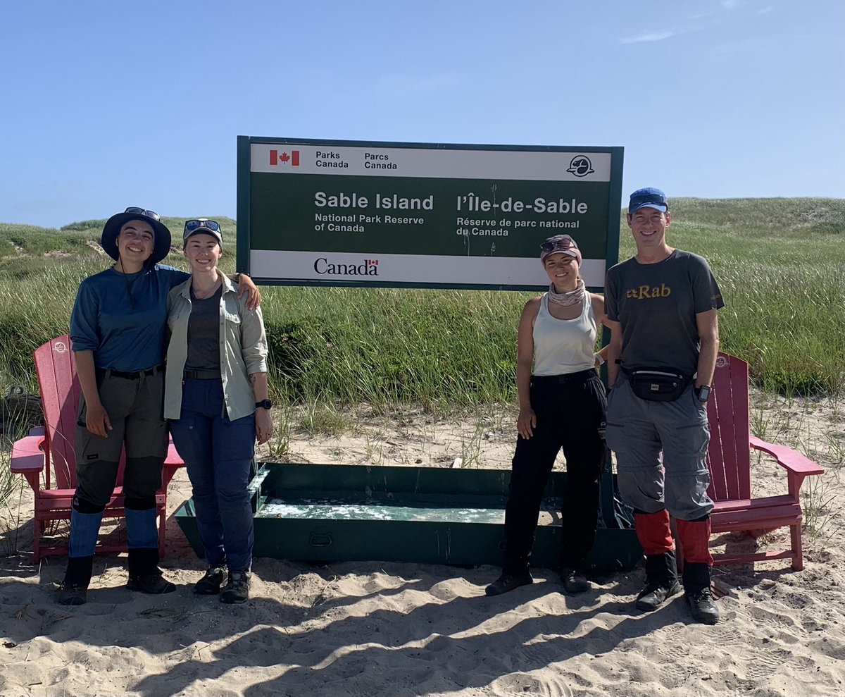 Team Sable Island🐴 2024