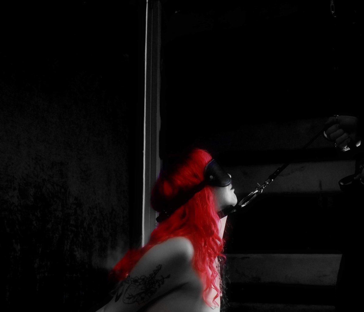 elaciabloom's tweet photo. Want the full pic?

https://t.co/EiUQawawzq
#sunroom #bdsm #goth #kinky #leash #collar #blindfold https://t.co/6HklQL9FDe