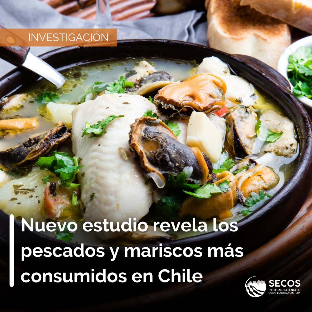 ¿Cuánto pescado y marisco se come en Chile? Según <a href="/SubpescaCL/">Subpesca 🐟🇨🇱</a>, en 2020 el consumo anual aparente por persona era de 15,8 kilos. La <a href="/FAO/">Food and Agriculture Organization</a>, por su parte, calculó 13,2 k anuales en 2013. Sin embargo, no existían datos que revelaran la frecuencia o qué especies eran las más consumidas