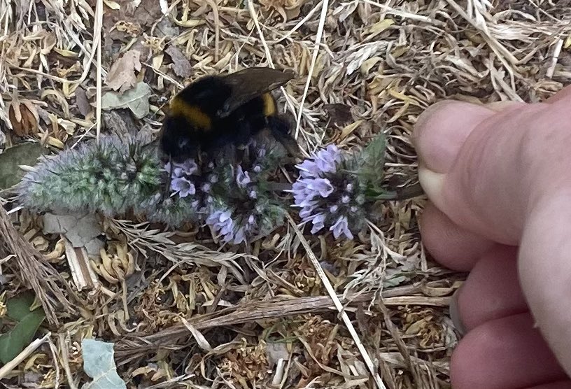 Rachel Smith tweet media