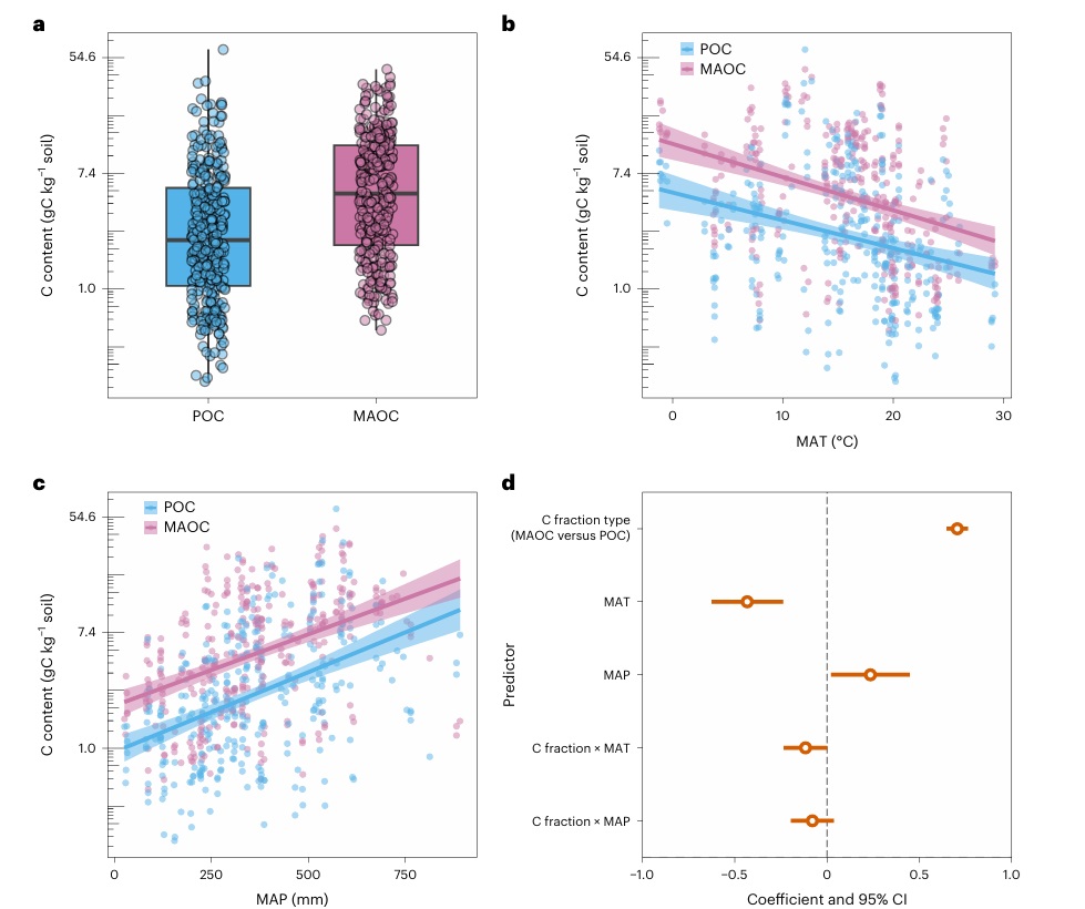 ManuDelgadoBaquerizo (@manudelbaq) on Twitter photo New <a href="/NatureClimate/">NatureClimate</a> in the <a href="/BioFunLab/">BioFunLab</a> !
Vulnerability of mineral-associated soil organic carbon to climate across global drylands
nature.com/articles/s4155…
Led by Paloma Díaz-Martínez <a href="/cesarplazaDC/">César Plaza</a> <a href="/ftmaestre/">Fernando T. Maestre</a> <a href="/E_MorenoJimenez/">Edu Moreno Jiménez</a>
<a href="/IRNAS_CSIC/">IRNAS Sevilla</a> <a href="/CSICAndalExtrem/">CSIC Andalucía y Extremadura</a> New <a href="/NatureClimate/">NatureClimate</a> in the <a href="/BioFunLab/">BioFunLab</a> !
Vulnerability of mineral-associated soil organic carbon to climate across global drylands
nature.com/articles/s4155…
Led by Paloma Díaz-Martínez <a href="/cesarplazaDC/">César Plaza</a> <a href="/ftmaestre/">Fernando T. Maestre</a> <a href="/E_MorenoJimenez/">Edu Moreno Jiménez</a>
<a href="/IRNAS_CSIC/">IRNAS Sevilla</a> <a href="/CSICAndalExtrem/">CSIC Andalucía y Extremadura</a>