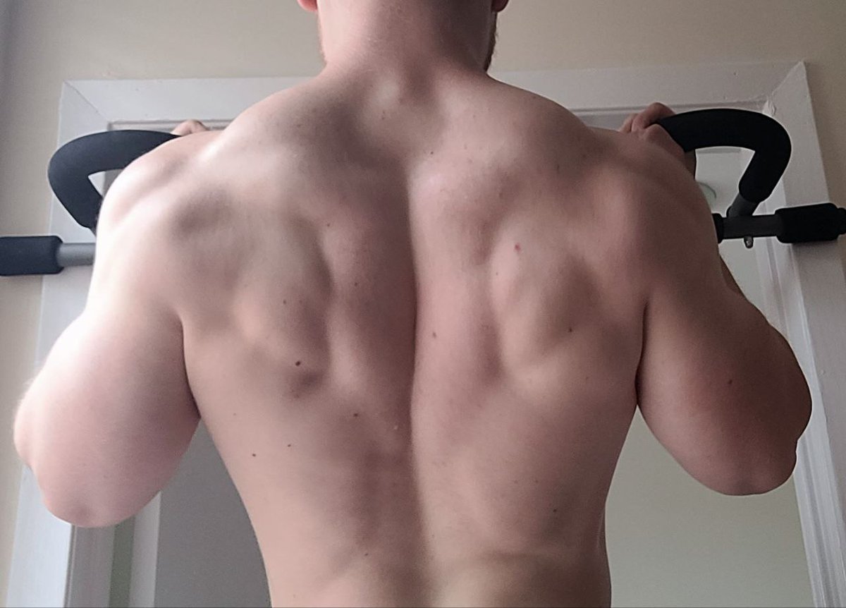 Moink the Chested tweet media