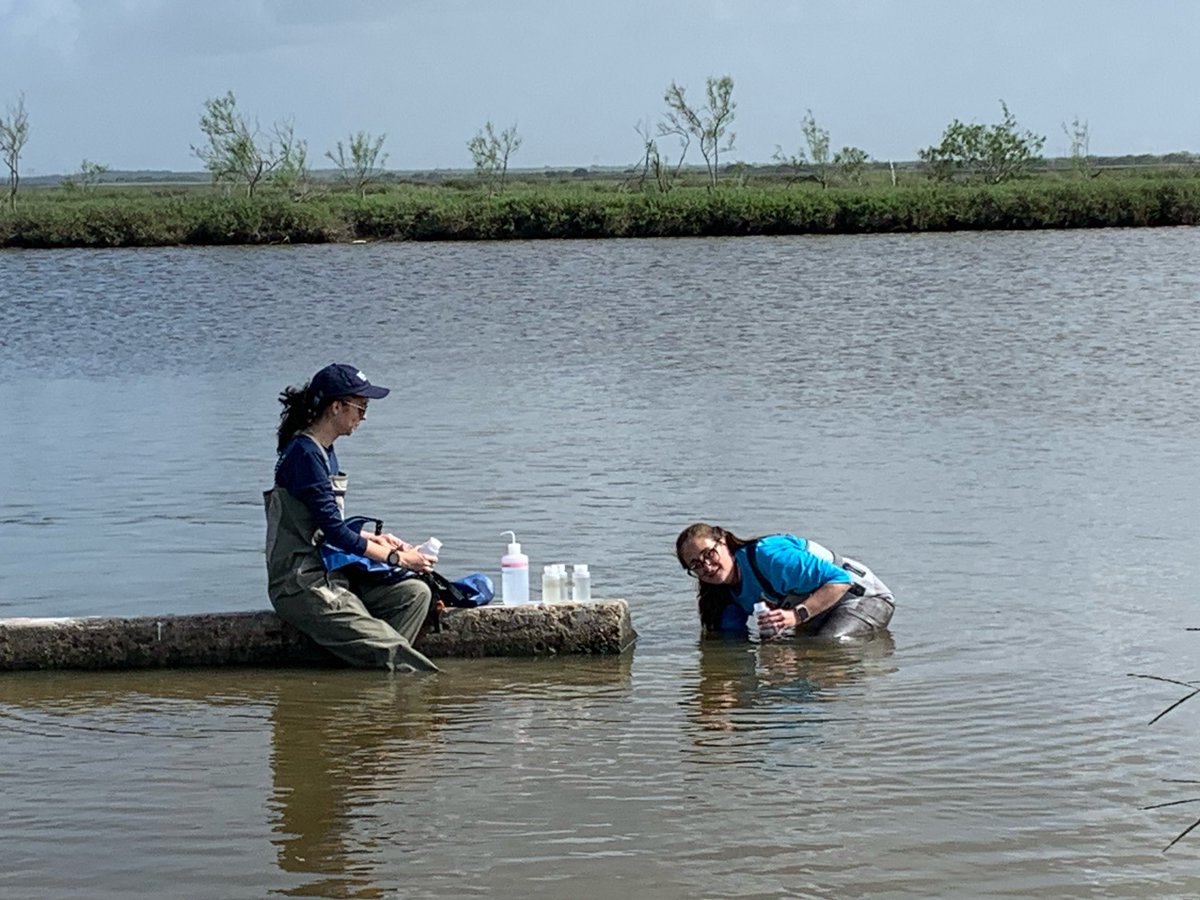 Nielsen Lab tweet media