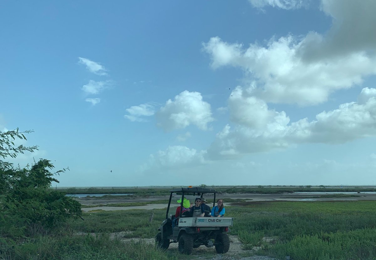 Nielsen Lab tweet media