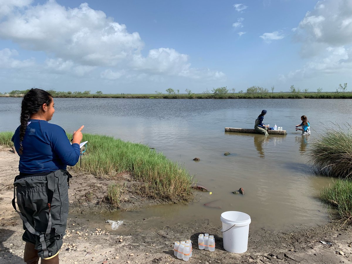 Nielsen Lab tweet media