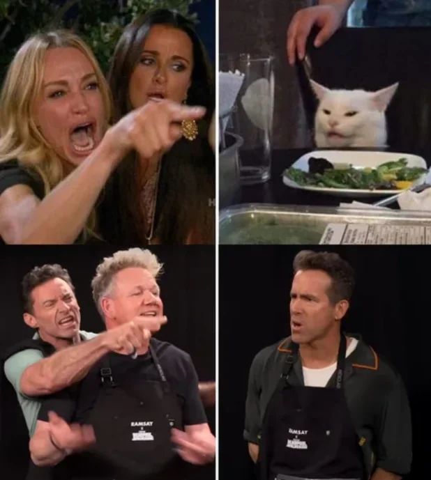 Wolverine and Deadpool have a thing for cat memes