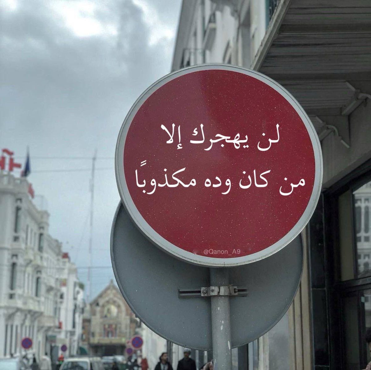 القانون (١٨)
