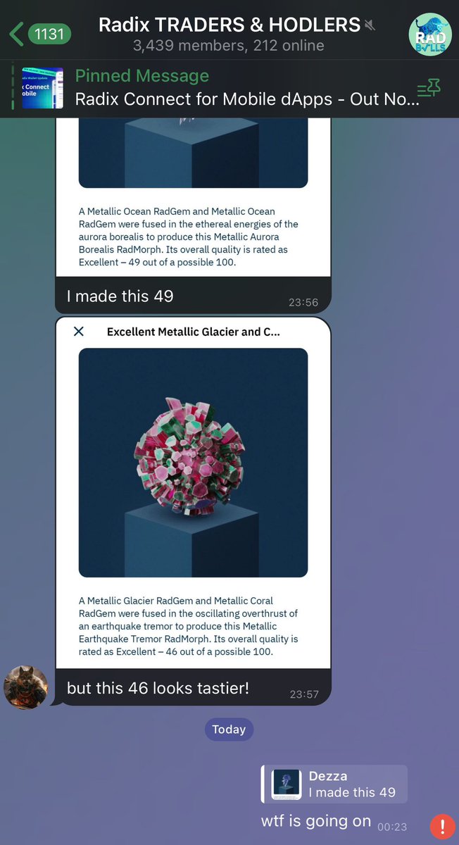 54F4R1's tweet image. wtf is going on at Radix