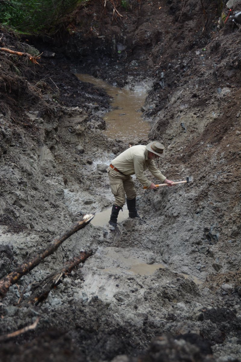MarcFCMetals's tweet photo. #FCM stripping at the 19 grammer, North Hemlo, looks good from the start! https://t.co/TjfpeRyN0j