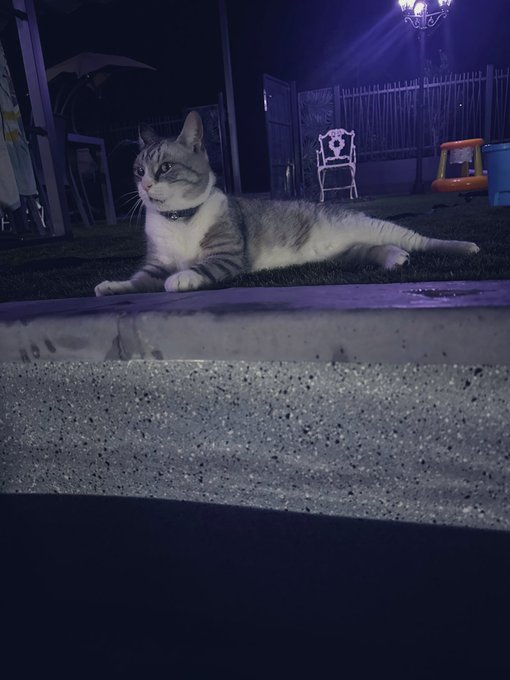 Un bain de minuit avec cette chaleur accompagn&eacute; de mon lapin Panpan https://t.co/w2POj6JQhH<a href="/tag/swame"class="tags"><span>#swame</span></a>