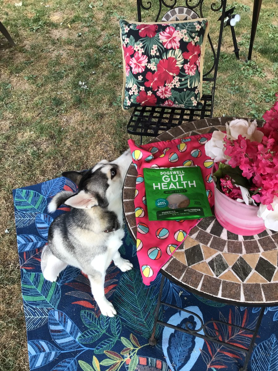 🚜Country Husky🚜 tweet media