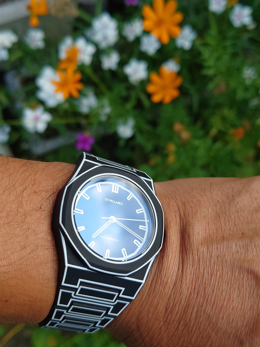 shinkoro1000rr's tweet image. おはようございます☀
今日は37度予想🥵
朝の湿度はマシになりましたが💦
⌚ケースの除湿剤が２週間保ちません😣
#D1MILANO