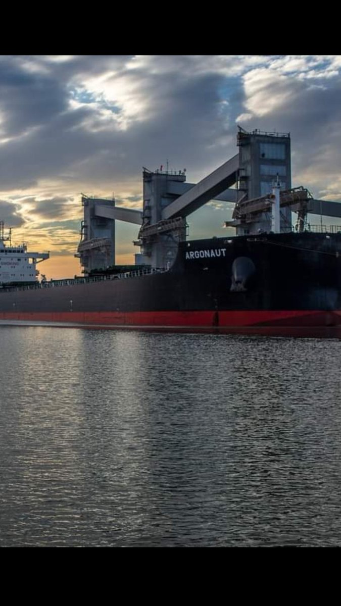 Según medios capitalinos, YPF y Petronas eligieron a Río Negro como la provincia en la que se desarrollará el proyecto de la planta de GNL. La decisión se habría tomado tras contratar a una consultora estadounidense que evaluó condiciones técnicas y económicas de ambas locaciones