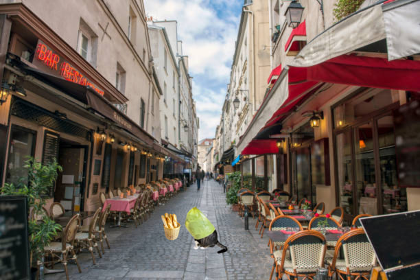 wifbag's tweet photo. catwifbaguette
$BAG https://t.co/53YDe8ZpyJ