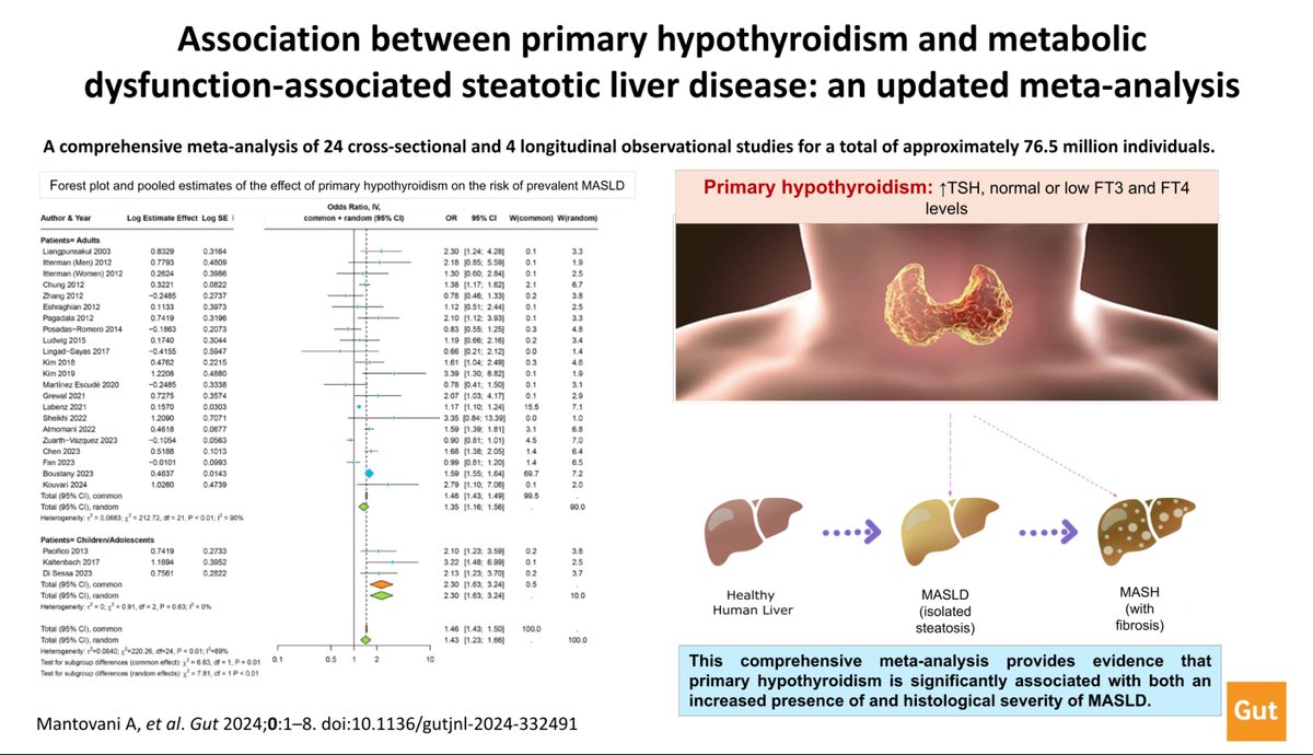Gut Journal (@gut_bmj) on Twitter photo Great #GUTAbstract by Mantovani et al entitled
"Association between primary hypothyroidism and metabolic dysfunction-associated steatotic liver disease: an updated meta-analysis" via bit.ly/4dotUao
Paper: bit.ly/46qHoA0
<a href="/Alessan95336031/">Alessandro Mantovani</a> <a href="/lucavalenti75/">Luca Valenti</a> #MASLD Great #GUTAbstract by Mantovani et al entitled
"Association between primary hypothyroidism and metabolic dysfunction-associated steatotic liver disease: an updated meta-analysis" via bit.ly/4dotUao
Paper: bit.ly/46qHoA0
<a href="/Alessan95336031/">Alessandro Mantovani</a> <a href="/lucavalenti75/">Luca Valenti</a> #MASLD