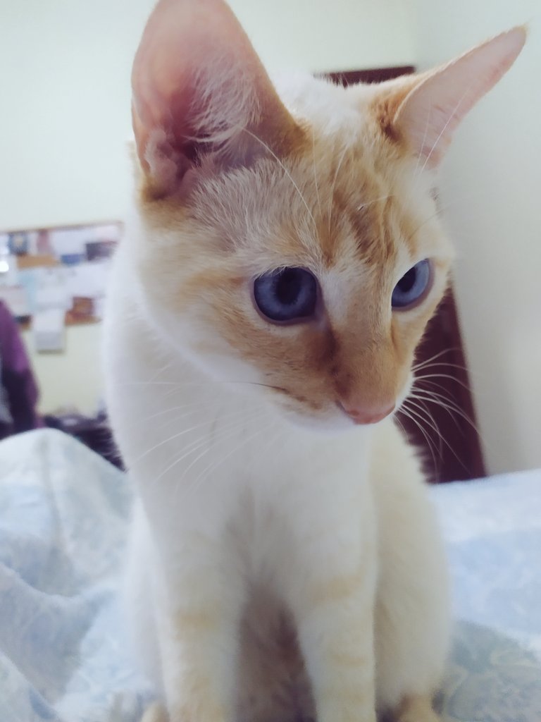 _flordocerrado's tweet photo. Yo tengo el enfermero/compañero/nené/Príncipe Encantador/ más hermoso del Universo.

#BorisNelson 😻❤️ https://t.co/Cb1X8efw8O