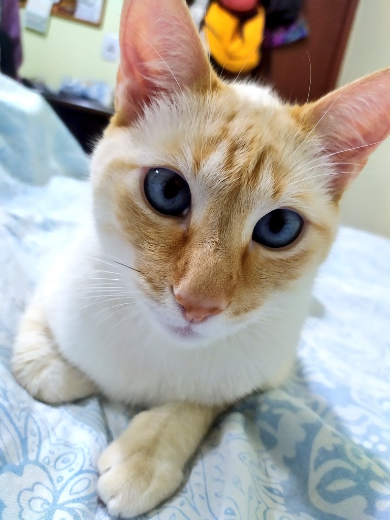 _flordocerrado's tweet photo. Yo tengo el enfermero/compañero/nené/Príncipe Encantador/ más hermoso del Universo.

#BorisNelson 😻❤️ https://t.co/Cb1X8efw8O