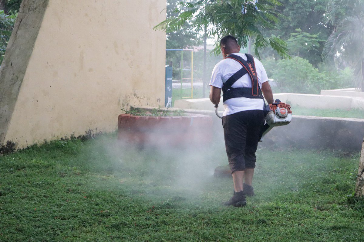 PAN Mérida tweet media