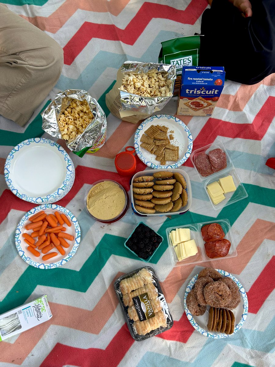 the_lugo_lab's tweet photo. Beautiful day for a picnic! 🍓And to say goodbye to our wonderful research coordinator, wishing @aliceaizza the best of luck as she starts her PhD program this fall! 🥼💙 we will miss you! https://t.co/oCqU9RU2Fm