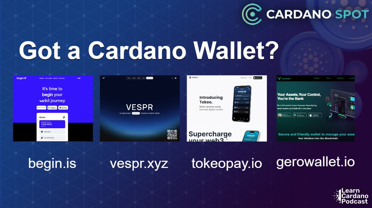 Can you name all the Cardano wallets in our ecosystem, including wallets that are no longer worked on or have changed names, e.g., CCVault -&gt; NewName?

I'm not including hardware wallets here. Just specific projects built for the Cardano ecosystem.

List them below, and I'll give