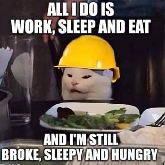 Scottie8931's tweet image. Calling all Patriots if you are not following this Patriot please consider adding her @musthavetruth77  she is currently at 5300 let’s help her get to 5700