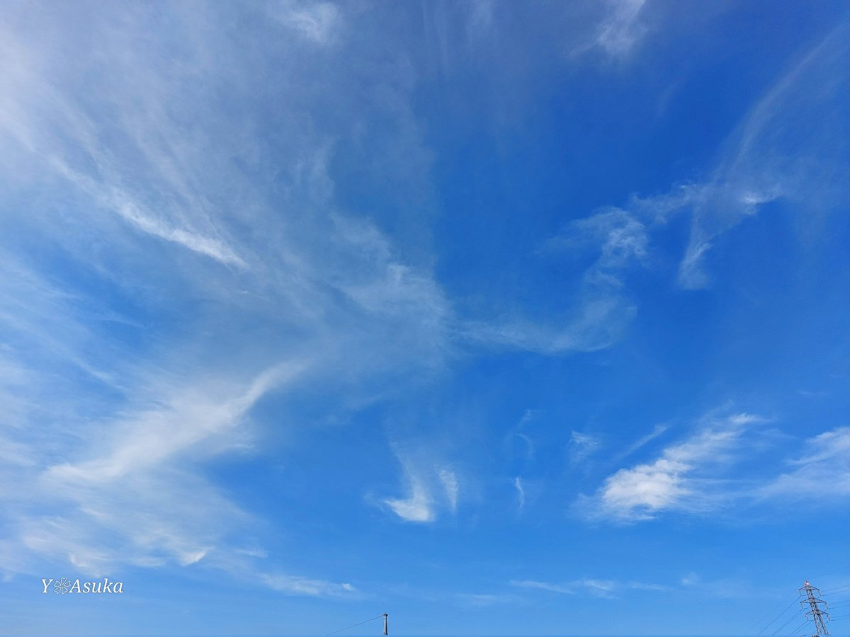 yumeasutw's tweet photo. #青空 に軽やかに #巻雲 が舞う水曜日の朝🌤️
お日様の回りに #ハロ ✨
予想最高/最低気温🌡️34℃/25℃
晴れ時々曇り一時雨☀️/☁️|☔
午後は雲が多くなり俄か雨に御用心⛈️
#イマソラ #いまそら
#空の名前
#天気の図鑑 #雲の超図鑑
#巻雲 #高積雲
#空 #sky #雲
#a2024 #a0731 #a202407 #a2024075 https://t.co/IszLoDCOyG