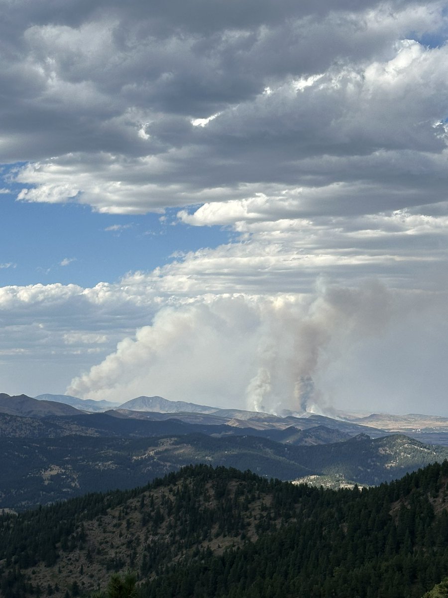 Kevin Lavelle tweet media