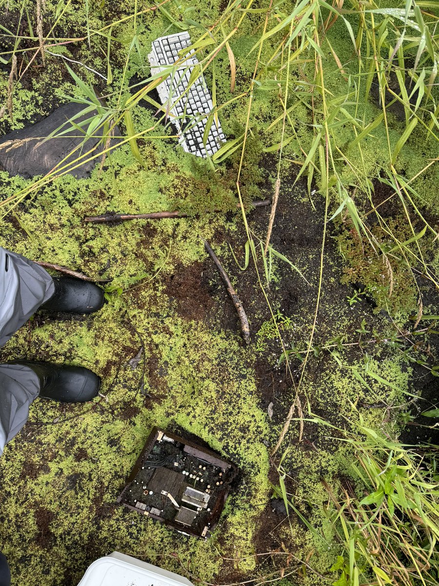 jesslsandoval's tweet photo. Trash flip of the day: 8 newly metamorphosed long-toed salamanders under some computer parts https://t.co/f5hvMzAQ6C