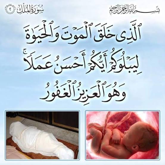 دلفگار (@ekxjjhi7vhe0pdt) on Twitter photo کیا بھید تھا خالی لانے میں
کیا بھید خالی لے جانے میں
تخلیقِ انسانی کا یہی مقصد
اعلان ہو "قُلْ هُوَ الـلّٰـهُ اَحَـدٌ"
<a href="/alamgirizvi/">Alamgir Rizvi(عالمگیر رضوی) INDIA</a> <a href="/diyekilo/">میری ذات مٹی</a> کیا بھید تھا خالی لانے میں
کیا بھید خالی لے جانے میں
تخلیقِ انسانی کا یہی مقصد
اعلان ہو "قُلْ هُوَ الـلّٰـهُ اَحَـدٌ"
<a href="/alamgirizvi/">Alamgir Rizvi(عالمگیر رضوی) INDIA</a> <a href="/diyekilo/">میری ذات مٹی</a>