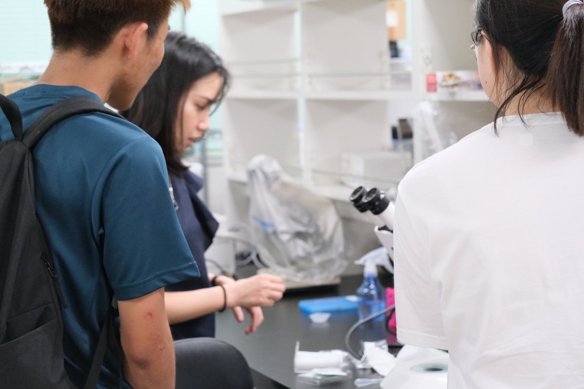 IRCMS, Kumamoto University (@ircms_ku) on Twitter photo 🌟 We have welcomed new students to the Dr. Liu Lab <a href="/DrNLiu/">Norika Liu</a>! We're having a great time working together. Let's grow and achieve great things as a team!💪📚✨
#ResearchLab #lab #team #IRCMS #kumamotouniversity 🌟 We have welcomed new students to the Dr. Liu Lab <a href="/DrNLiu/">Norika Liu</a>! We're having a great time working together. Let's grow and achieve great things as a team!💪📚✨
#ResearchLab #lab #team #IRCMS #kumamotouniversity