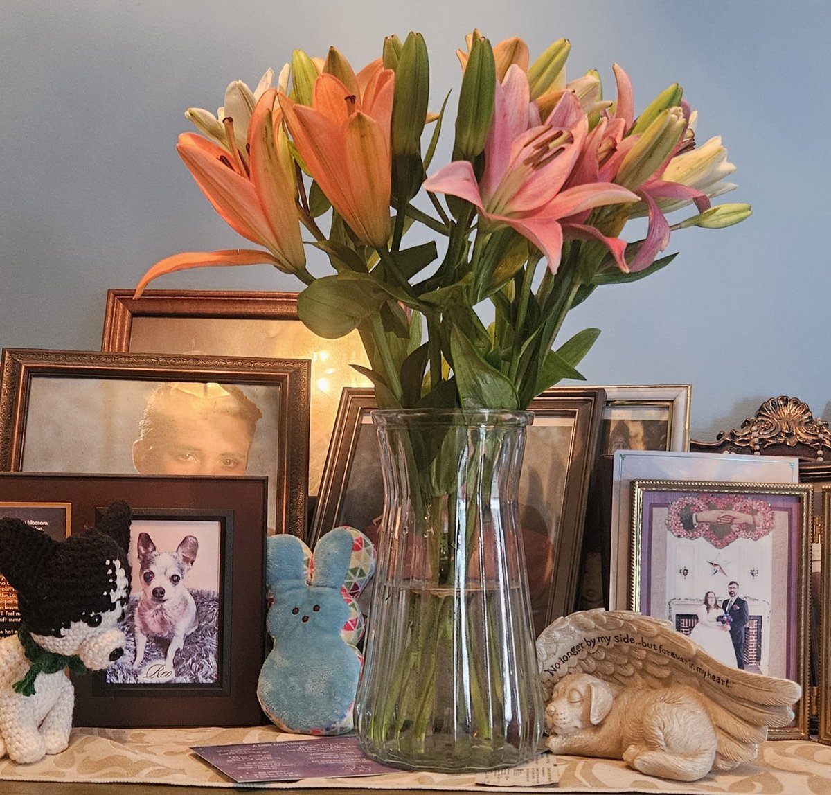 paco5775's tweet photo. The kindness overwhelms us. These beautiful flowers ๐ arrived today to cheer us up. Thank you @PugnatiousG for delivering some sunshine to our home! They are on our piano, far away from Stubbs' curious paws๐คฃ We love youโค๏ธ๐โค๏ธ#PuggieForever #Friends4Ever #PrayForNina #TeamTiki https://t.co/yYuoS1oIqY