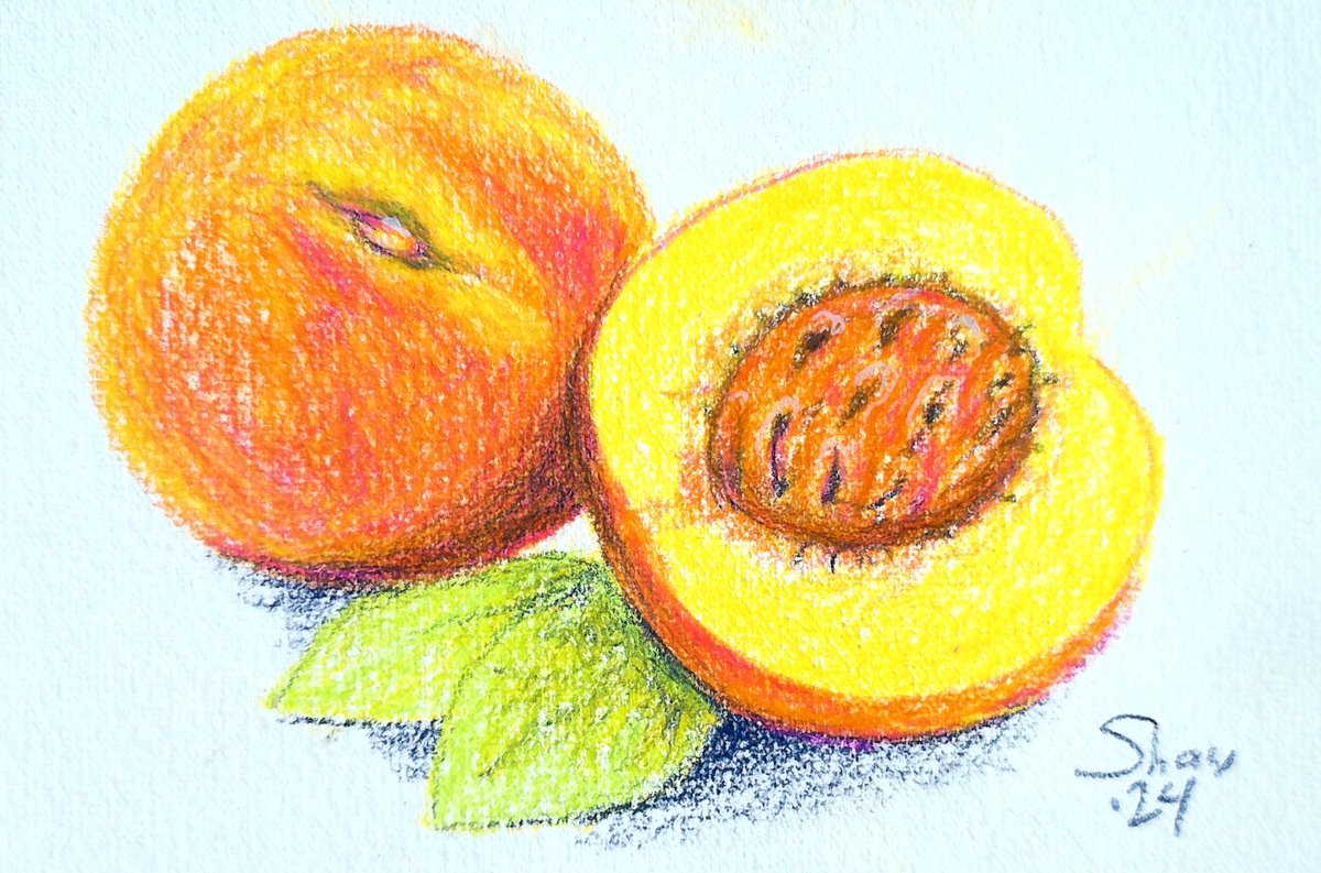 rohvannyn's tweet image. #augustsketchbox, #sketchbox - Nectarines drawn with limited palette of five colors, oil based colored pencils, on small format cold pressed paper.  Fun times!