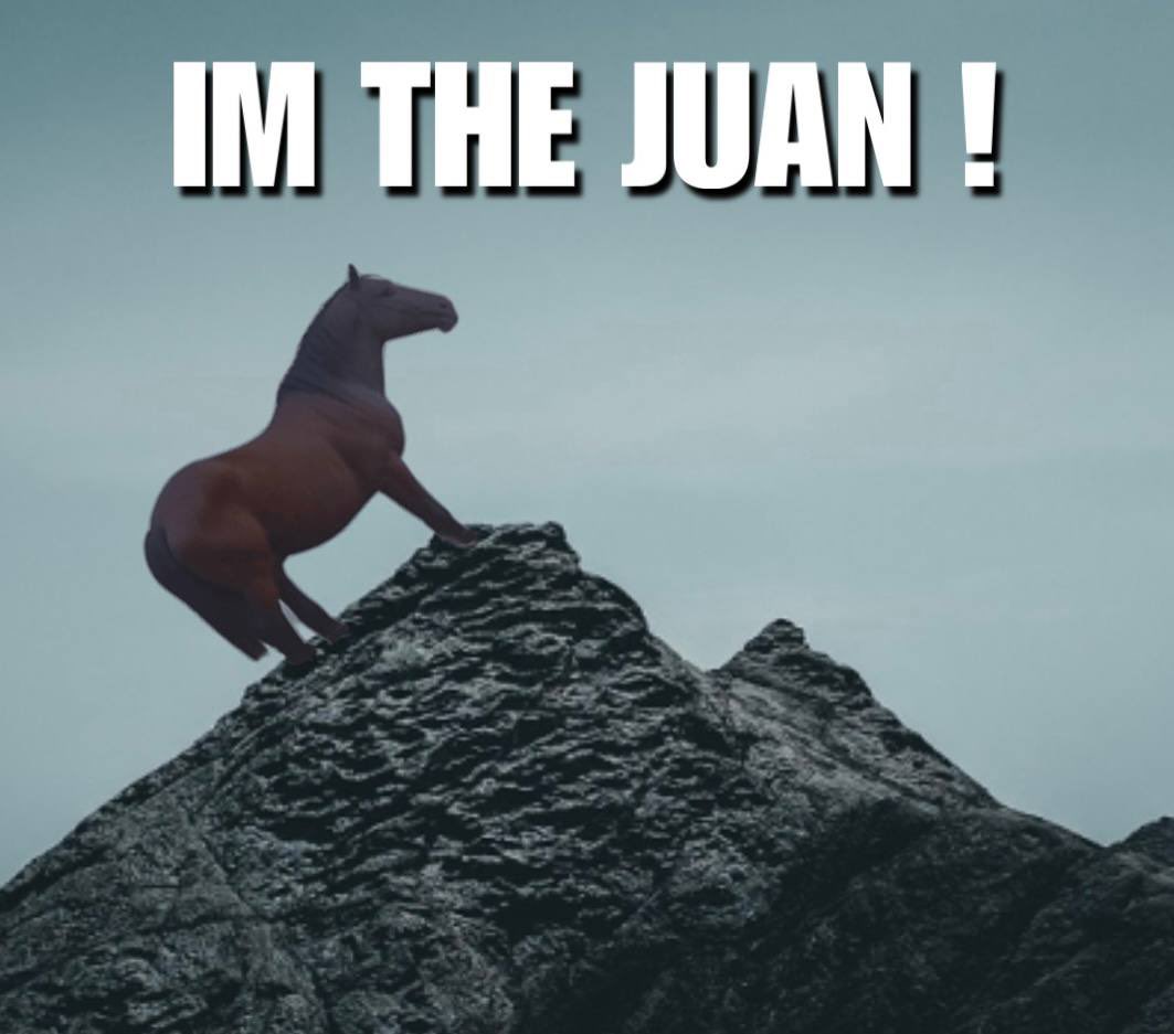 juan tweet media