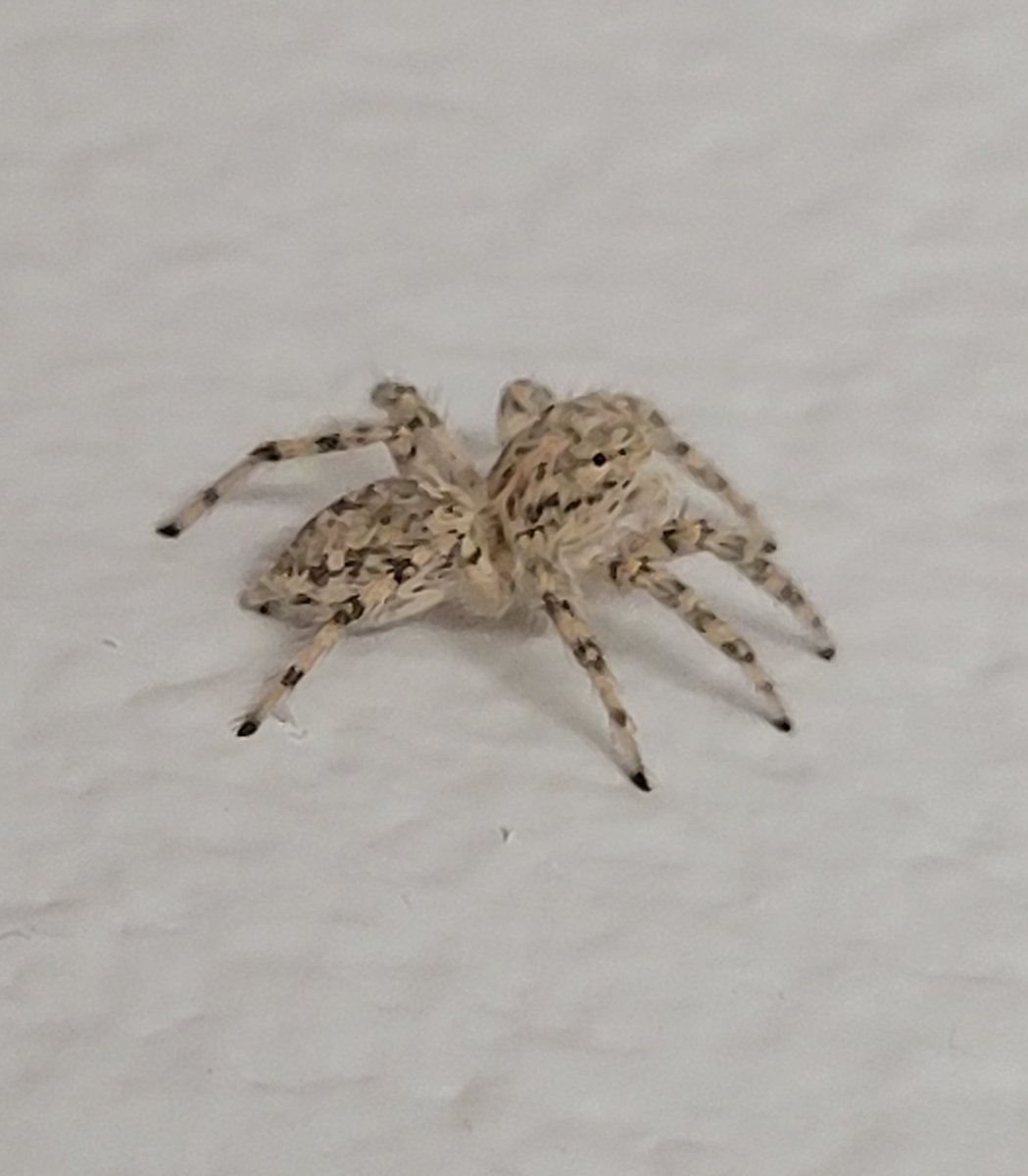 SmeadLovestoRead tweet media