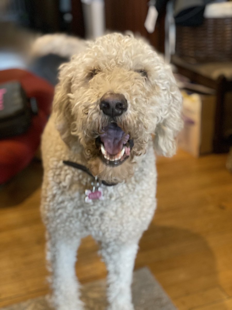 Possible Spam tweet media