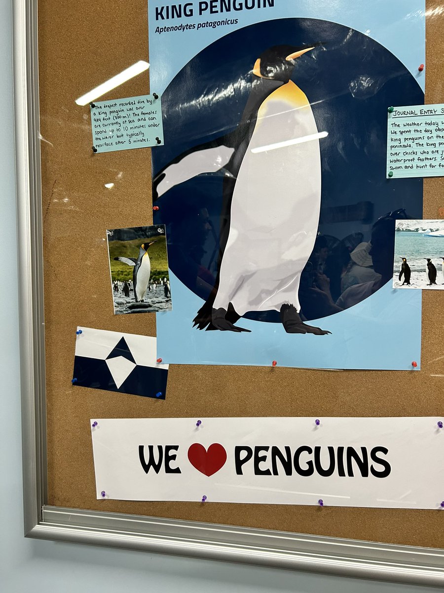 Met some new penguins friends while on vacation! Excited to see all the Pollard penguins back on September 3rd!! #penguins #timberlane #pollardschool