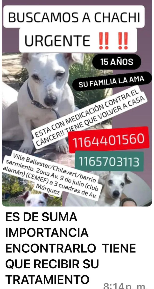 Tabyta201's tweet photo. 🚨 URGENTEEEEEEEE!!!!!!
SE BUSCA CHACHI🚨 https://t.co/sOKDHWT68q