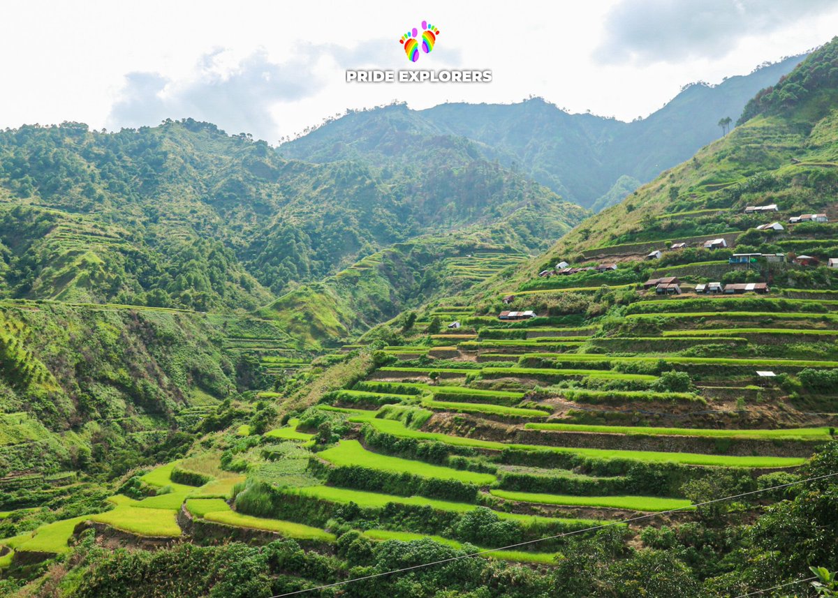 PrideExplorers's tweet image. BUSCALAN + SAGADA ADVENTURE 👣🏳️‍🌈

HIGHLIGHT:
Good morning BUSCALAN ♥️

Come &amp;amp; join us on our next adventure 😎
Just DM me for details 📩
👉 @PrideExplorers