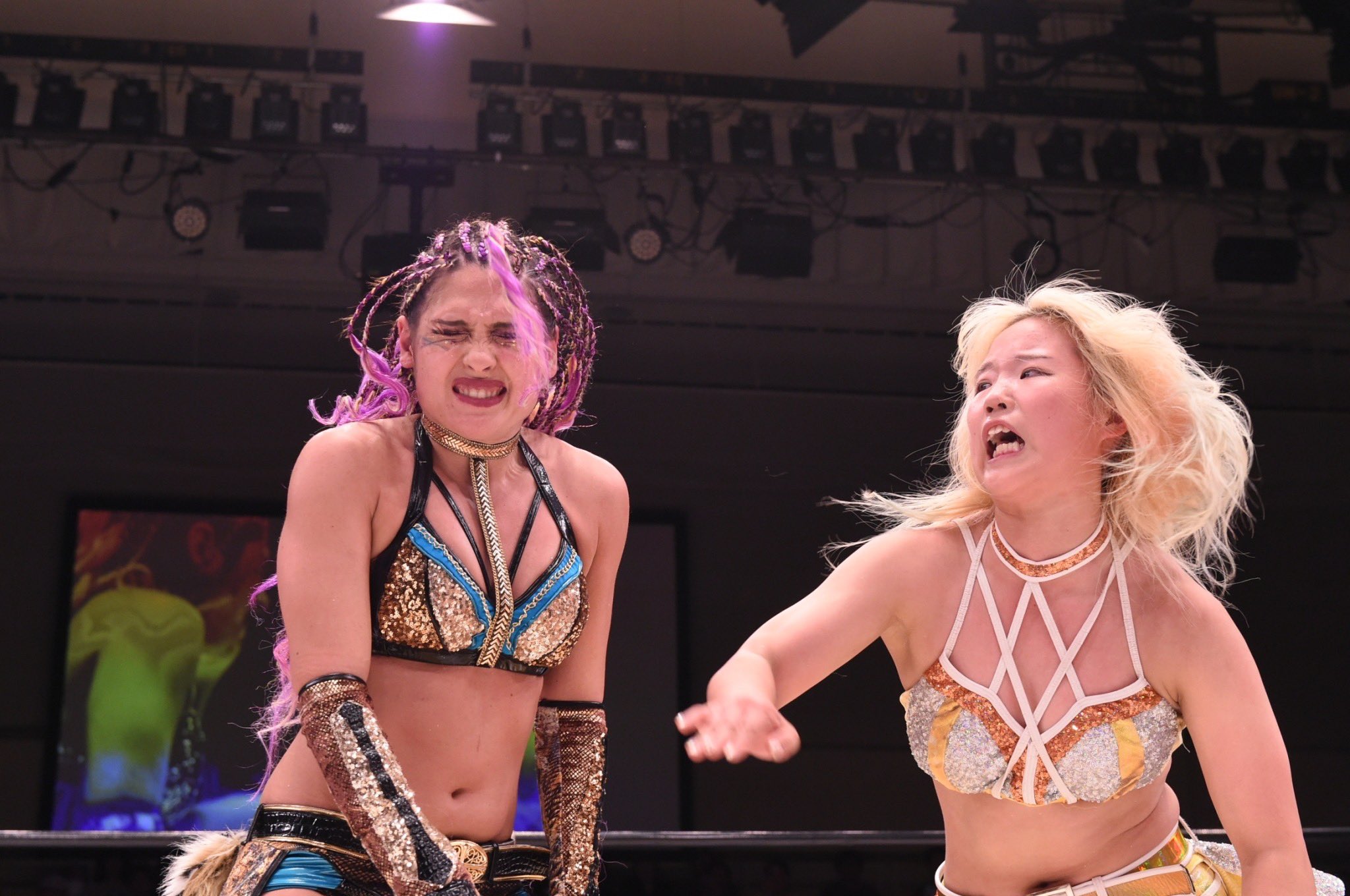 女子プロレス マリーゴールド 田中きずな きいたん Tシャツ チェキその他 女子プロレス マリーゴールド Tシャツ 田中きずな 6 - メルカリ