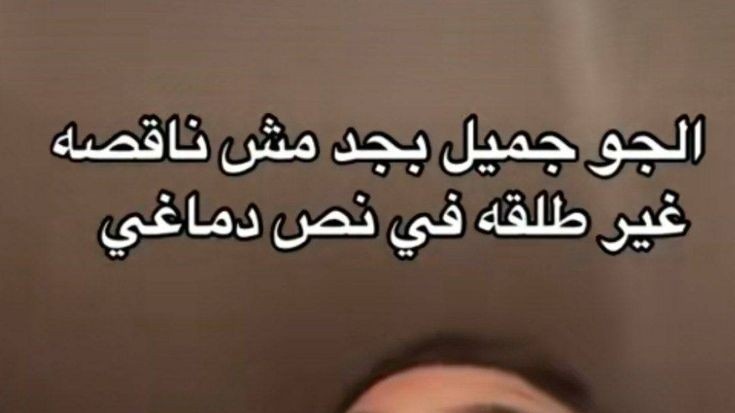 True Memes (@truememes_) on Twitter photo 