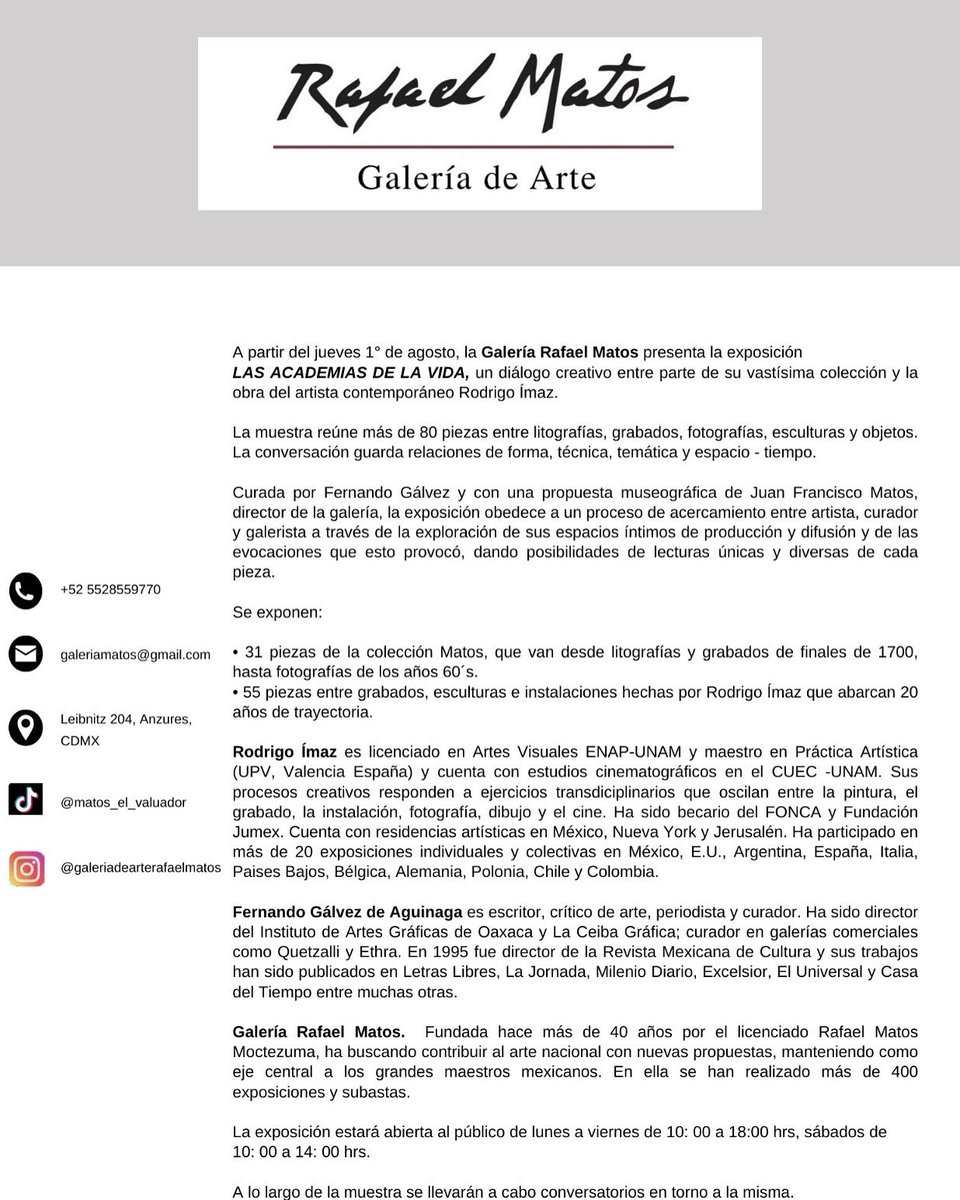 Galeria Rafael Matos tweet media
