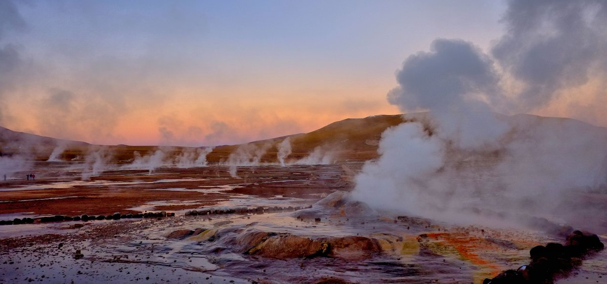 Julian Cribb tweet media