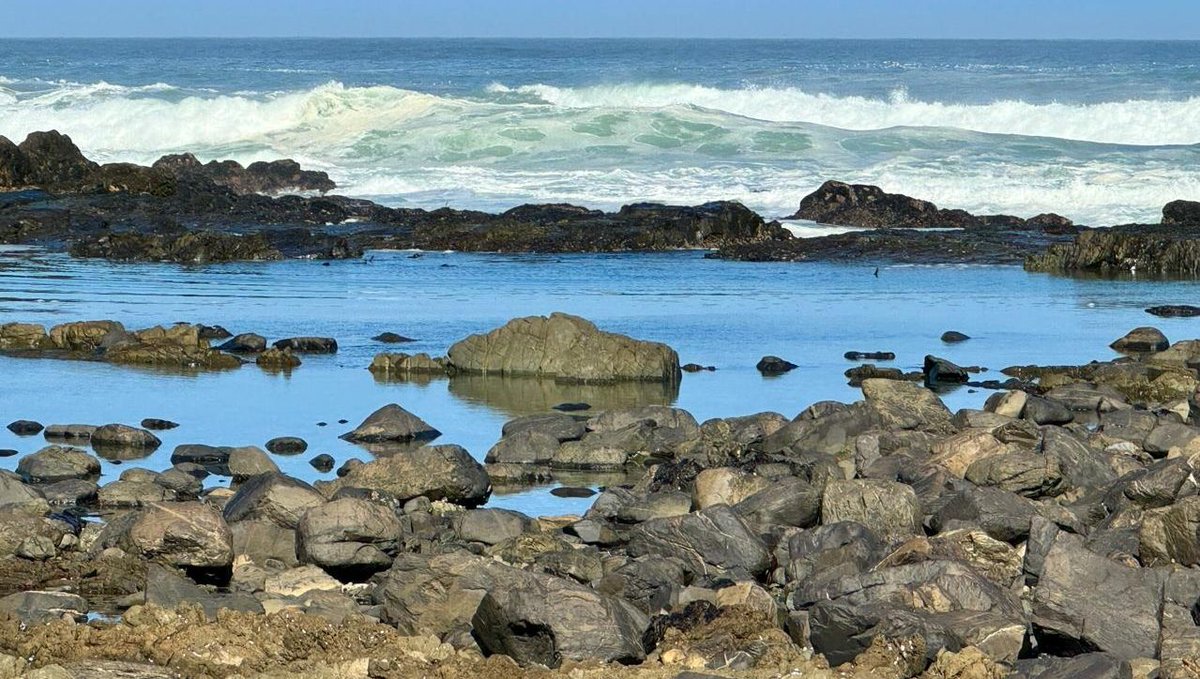 SpringfonteinE's tweet image. Good morning from Pebble Bay at Springfontein Estate! 🌼 Did you know the ancient sea traps here utilized tidal flows to catch fish sustainably?
Learn more in our latest blog: l8r.it/6Lyh

 #SpringfonteinEstate #PebbleBay #Fynbos #AncientHistory
