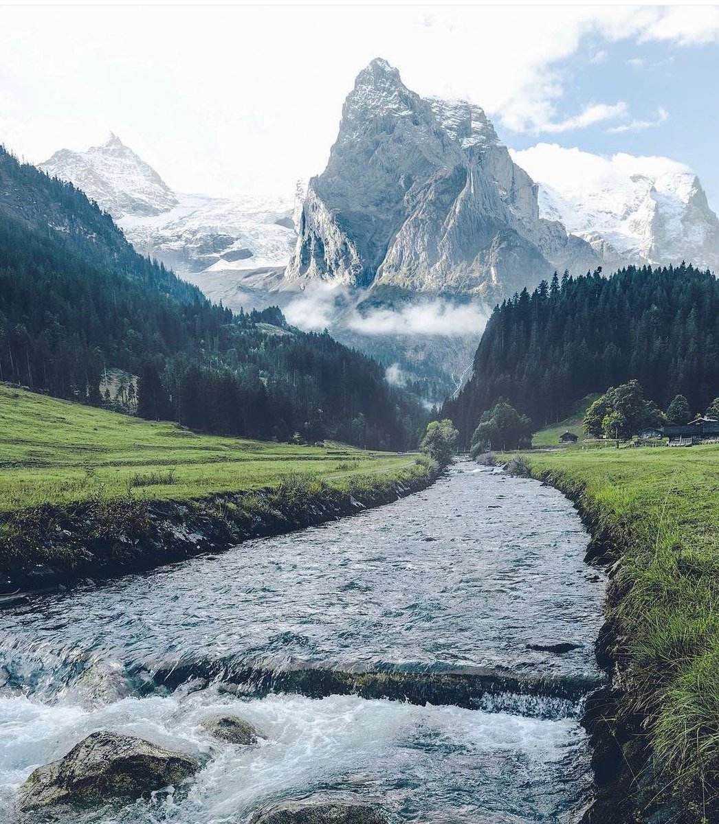 Summer in Switzerland 🍃