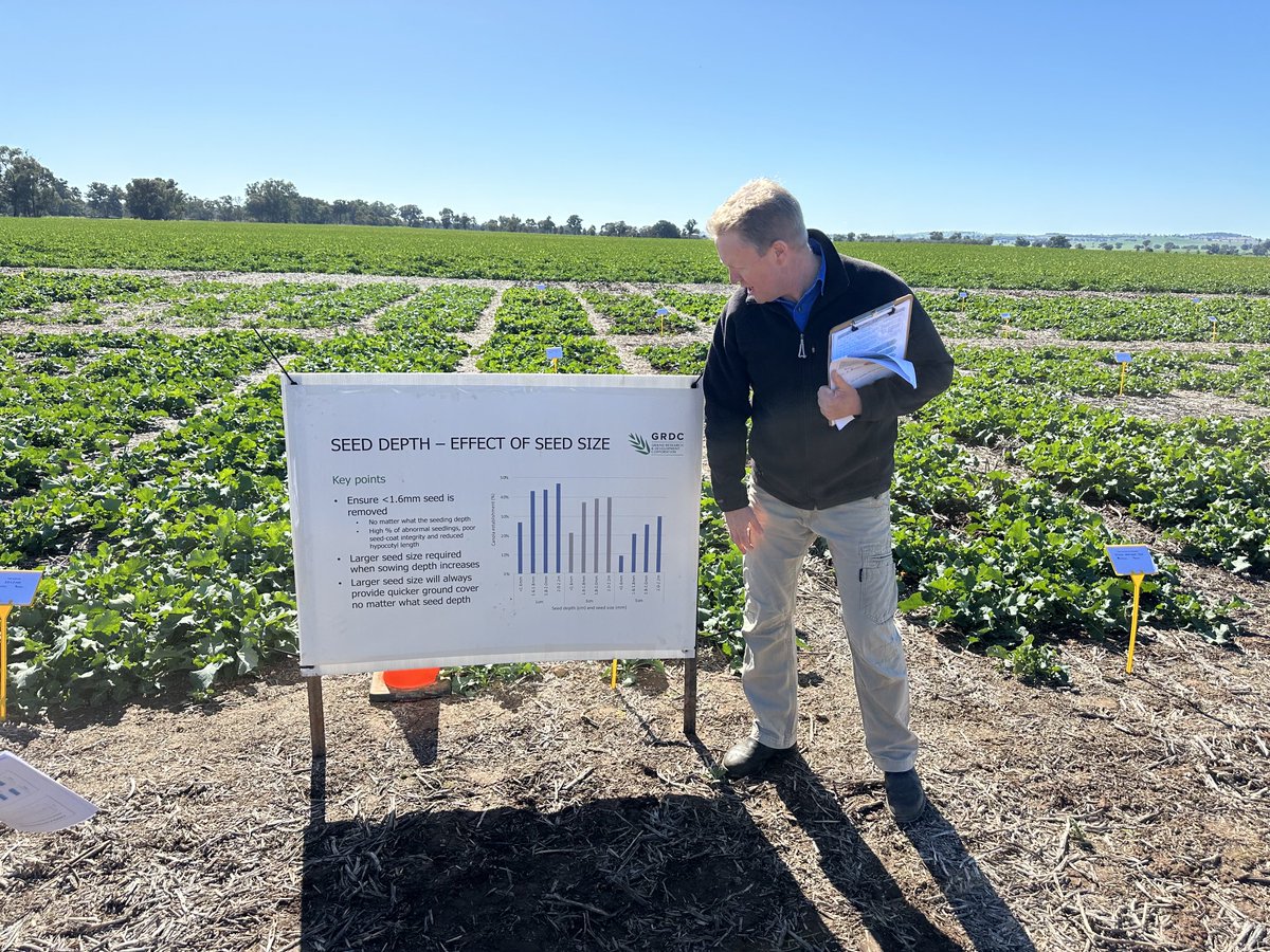 Col McMaster showing the ⁦<a href="/theGRDC/">GRDC</a>⁩ National canola establishment team the trials near Canowindra - all things seeding/establishment.  Off to Condo next.  Depth, seed size, press wheels, fertiliser, soil water at sowing, disc vs Tyne.  Great data from NSW red acidic loams.