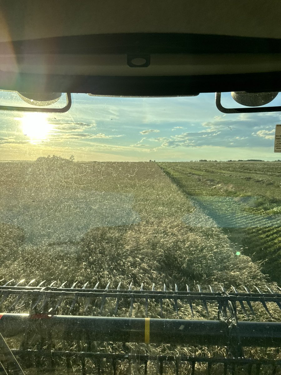 Camcar_Ent's tweet photo. It’s getting closer #harvest24 https://t.co/gRUyLqSwM9