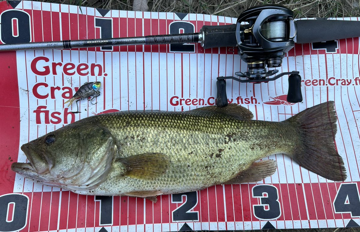 dotto3 ドットスリー IMGP5182s-s-.jpg